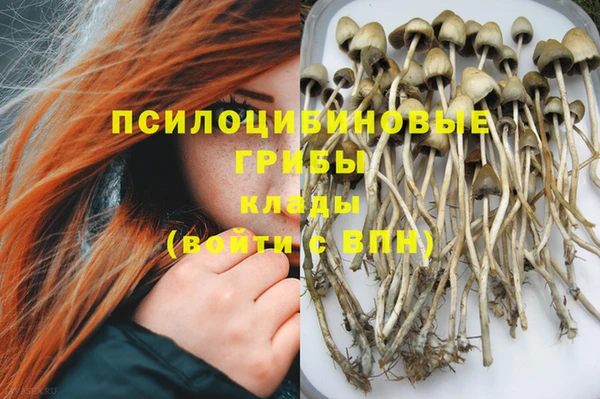 PSILOCYBIN Абдулино
