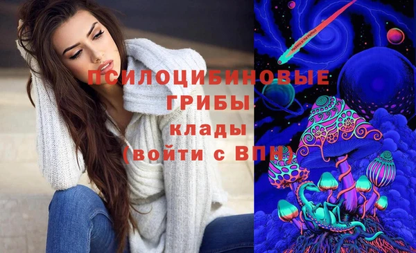 apvp Абинск
