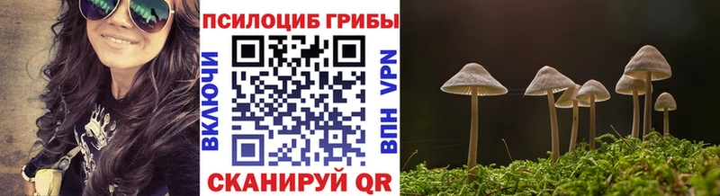 Псилоцибиновые грибы мухоморы  мега ССЫЛКА  Анадырь 